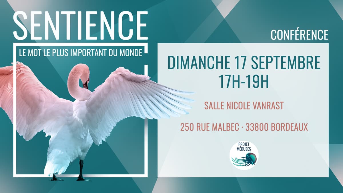 Conférence Sentience : Le mot le plus important du monde