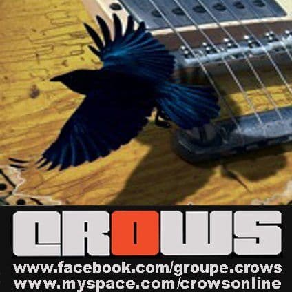 Crows