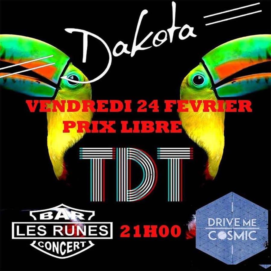 Dakota + La Theorie Du Toucan + Drive Me Cosmic