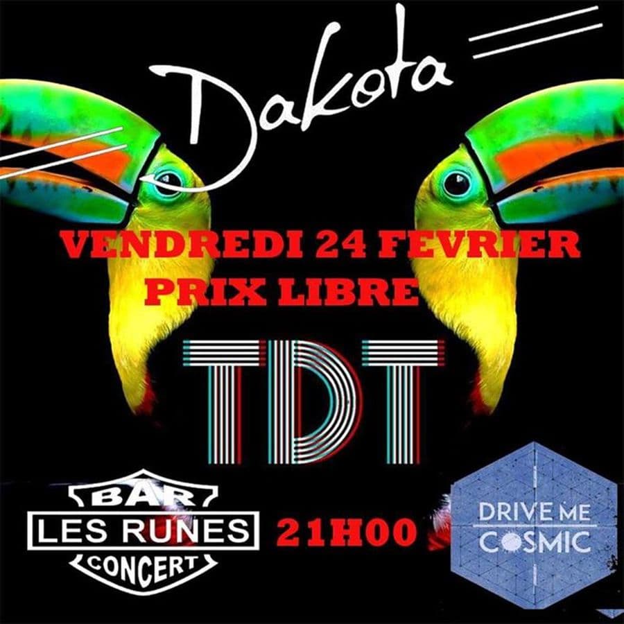 Dakota + La Theorie Du Toucan + Drive Me Cosmic