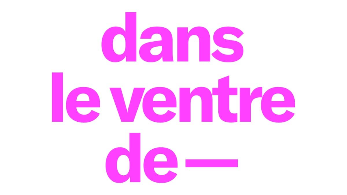 DANS LE VENTRE DE — SOFIA COPPOLA ~ Marie-Antoinette