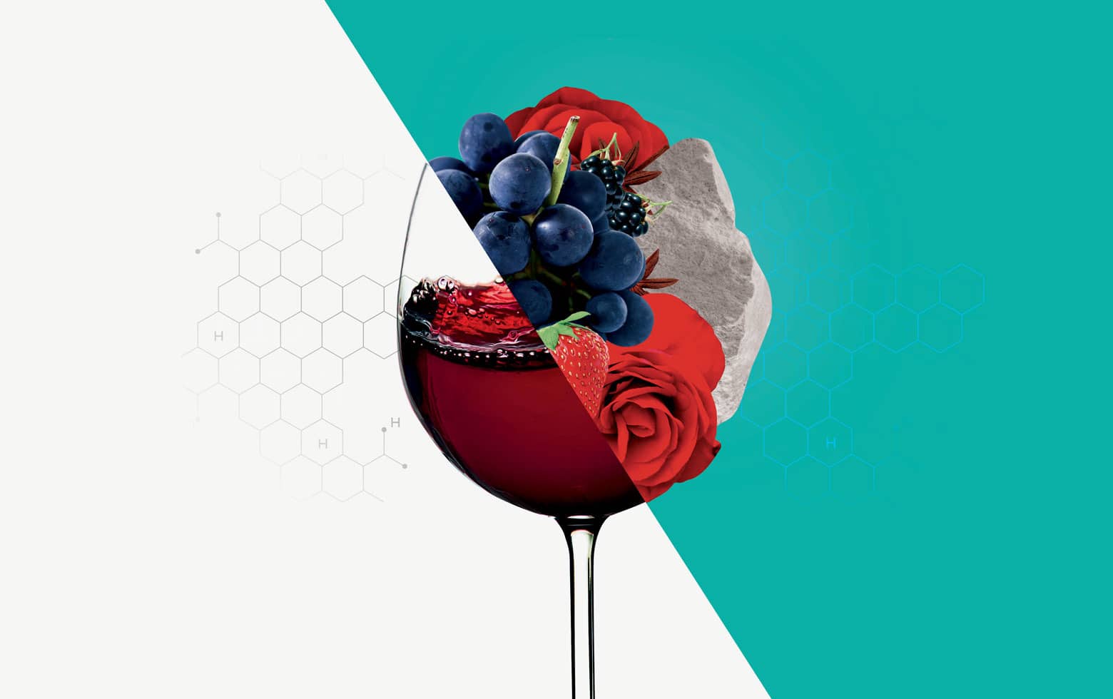 Défauts du vin, saurez-vous les reconnaître ?