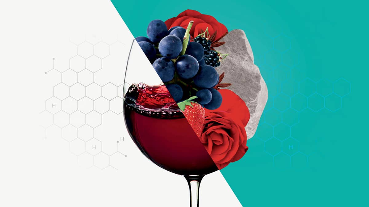 Dégustation savante : oxygène, ami ou ennemi du vin ?