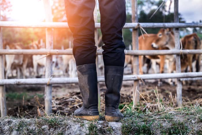 DROIT DANS MES BOTTES • Les Attracteurs étranges