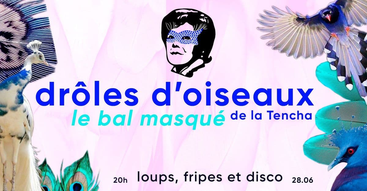 Drôles d'oiseaux : le bal masqué de La Tencha