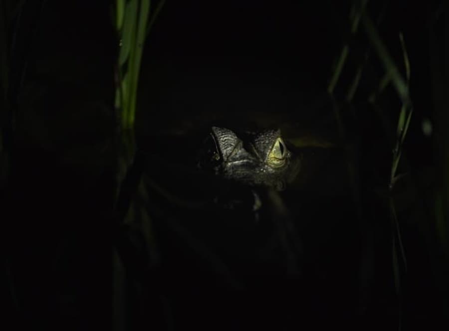 Eaux noires - projection et rencontre avec la réalisatrice Stéphanie Régnier