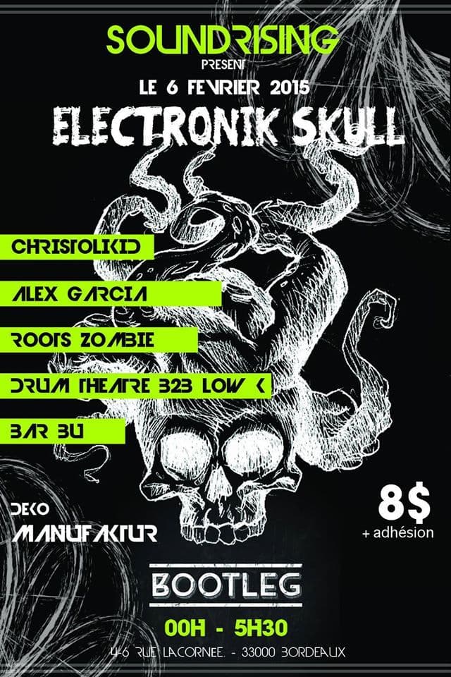 Electronik Skull