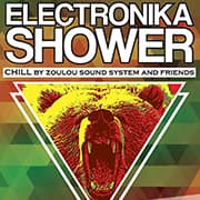 Electronika Shower : Avec Remy Estera + Lucky Boy + Rude-High / Dark Lucas + Dipsy Crispy + Zoulou Sound