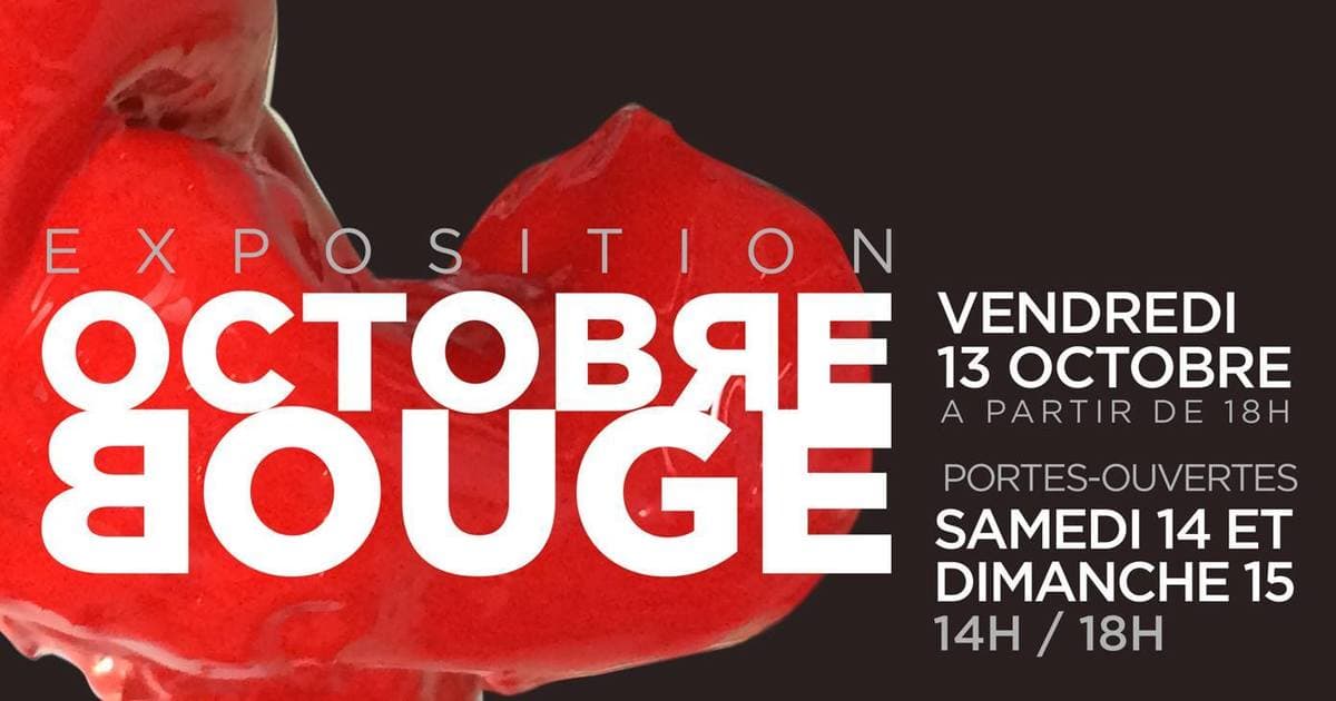 Exposition Octobre Bouge et portes ouvertes de l'atelier