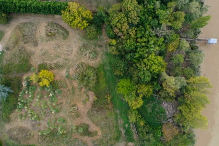 Exposition « Une parcelle dédiée à l'art environnemental »