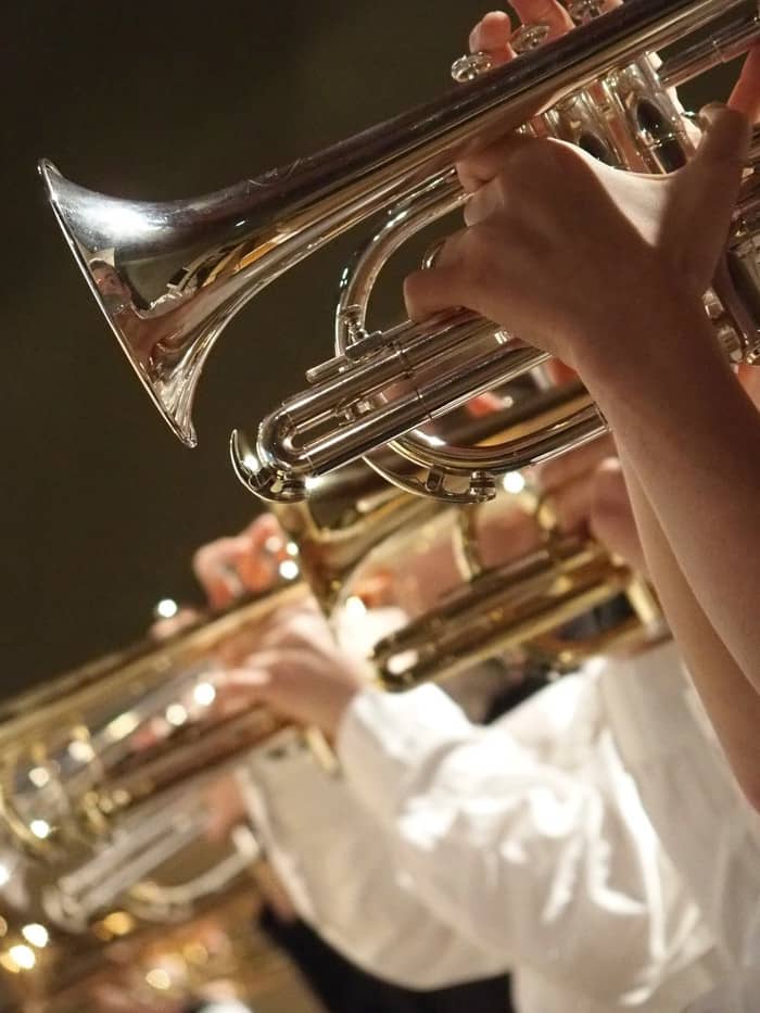 Festival de la Maison Municipale de la Musique