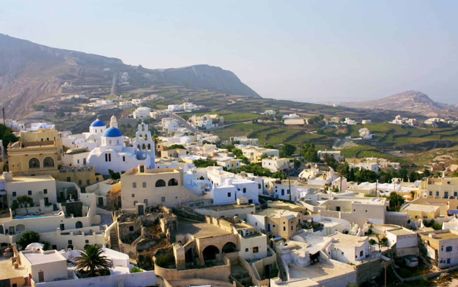 Grèce : la vigne de Santorin, héritage de l’Antiquité