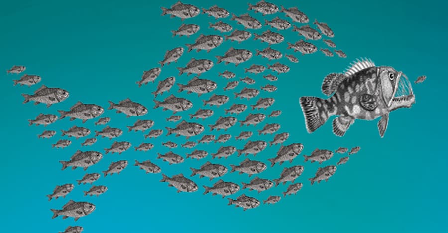 Jour du grondement : concert, conférence gesticulée & ateliers