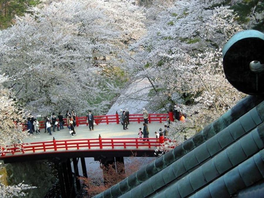 La ville d'HIROSAKI présentée par ses étudiants