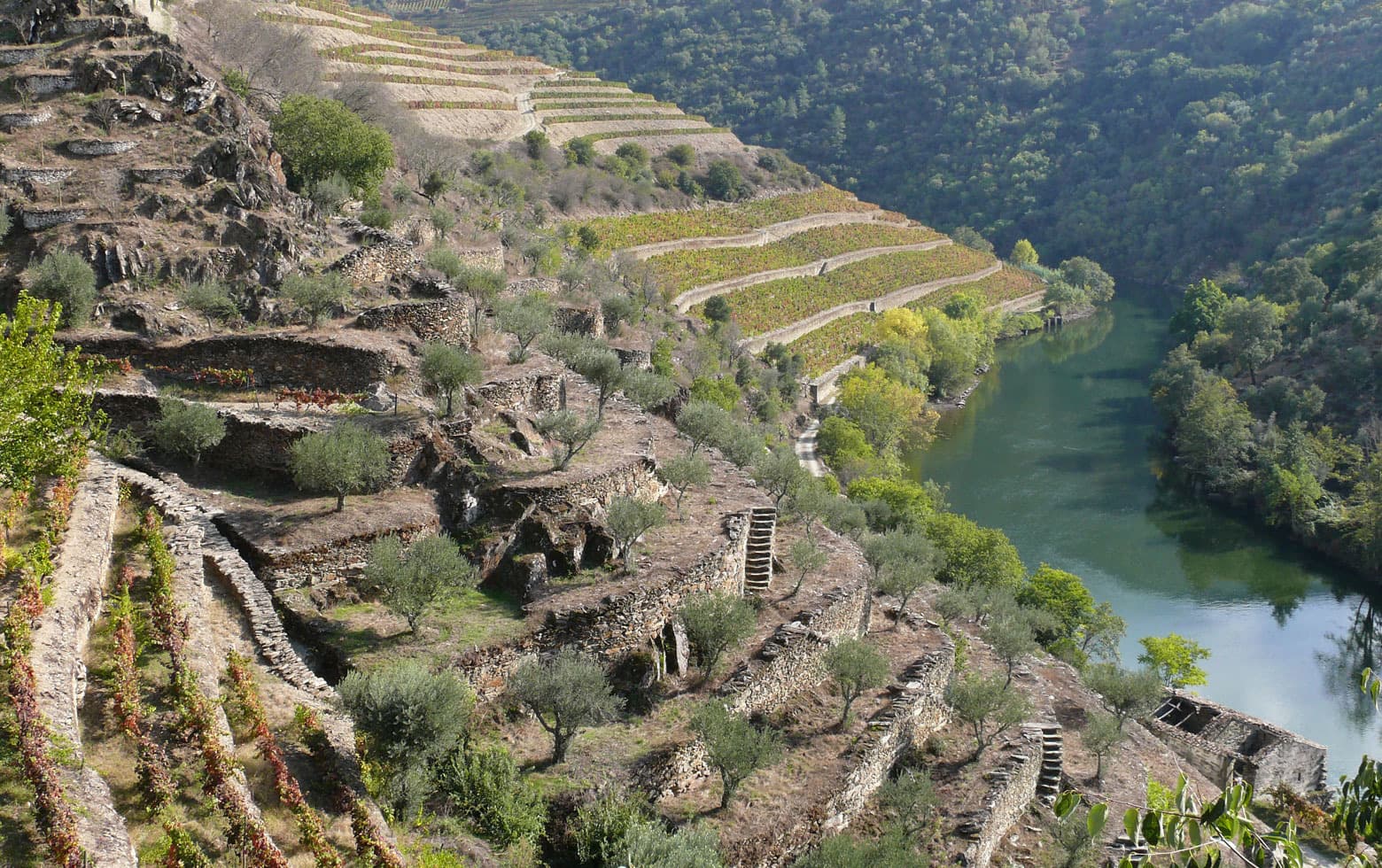 Le paysage culturel du Haut-Douro, patrimoine mondial