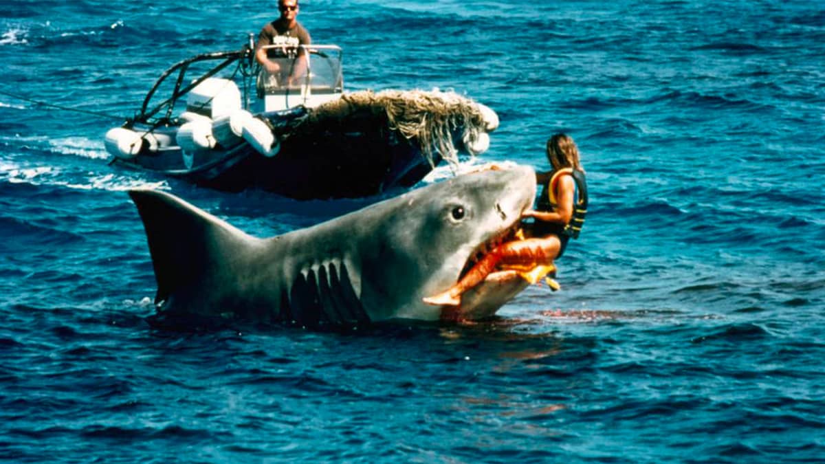 Les animaux sont pas sympas 1 : Les Dents de la mer
