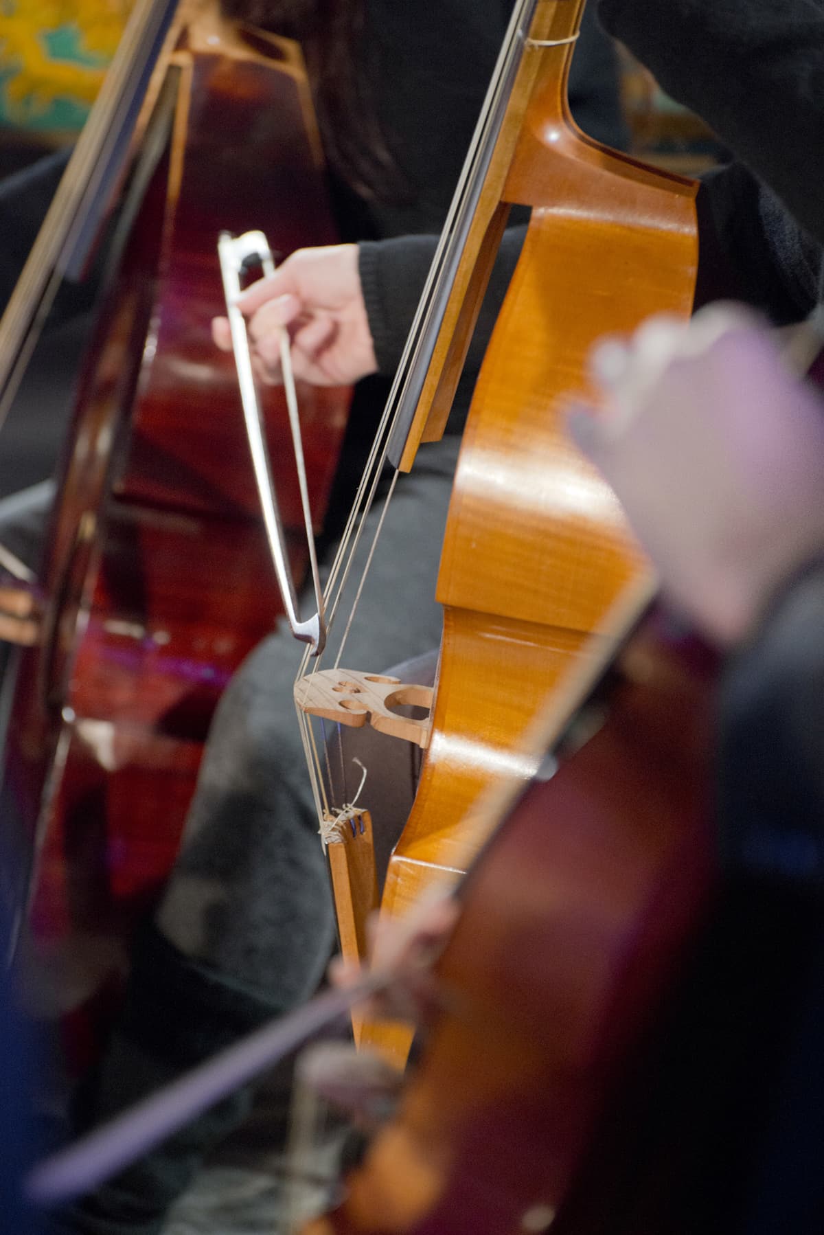 Les concerts au musée - concert de Musiques de chambre Instruments anciens