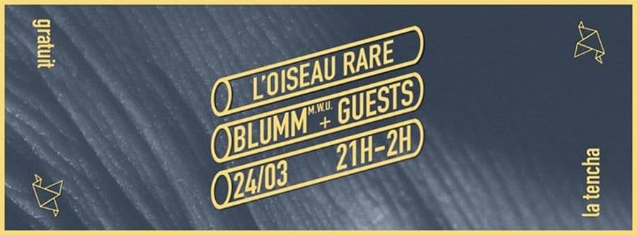 L'oiseau Rare