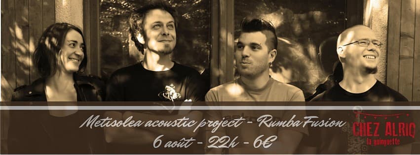 Metisolea Acoutic Project