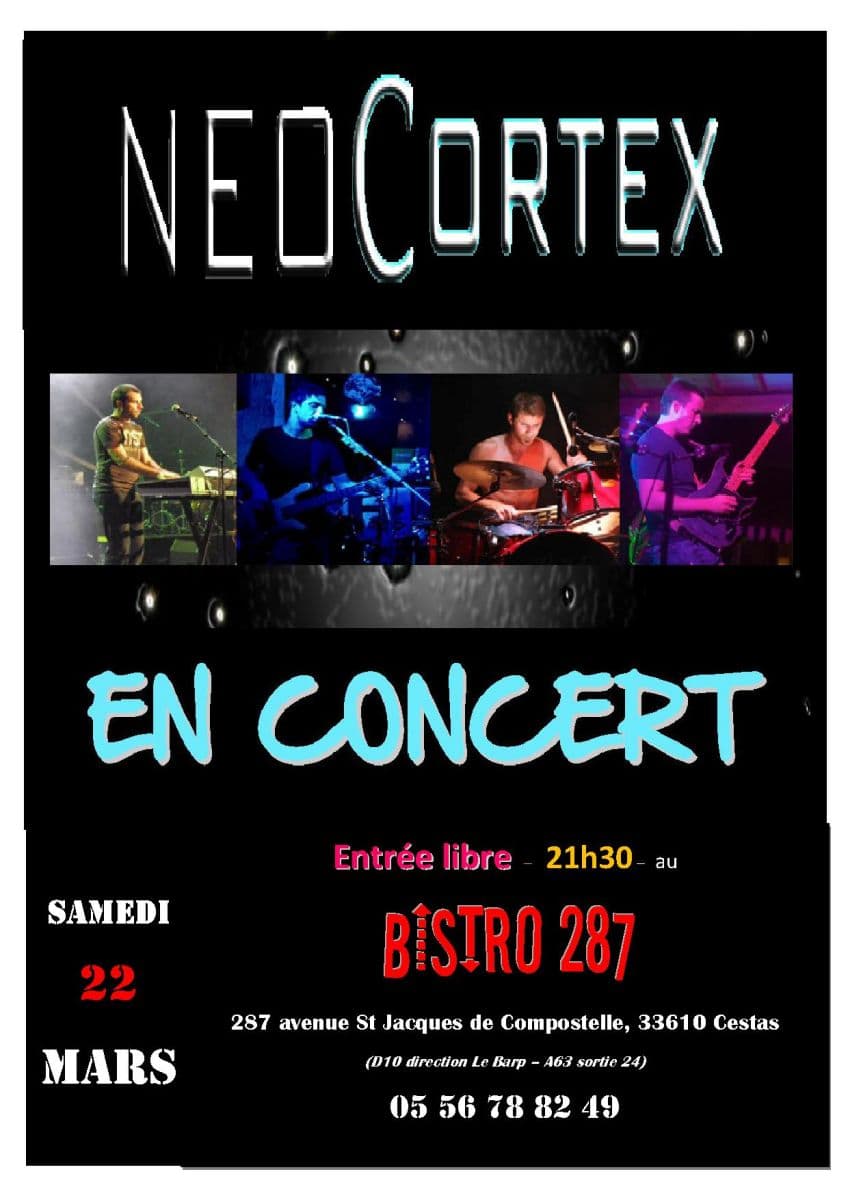Neocortex