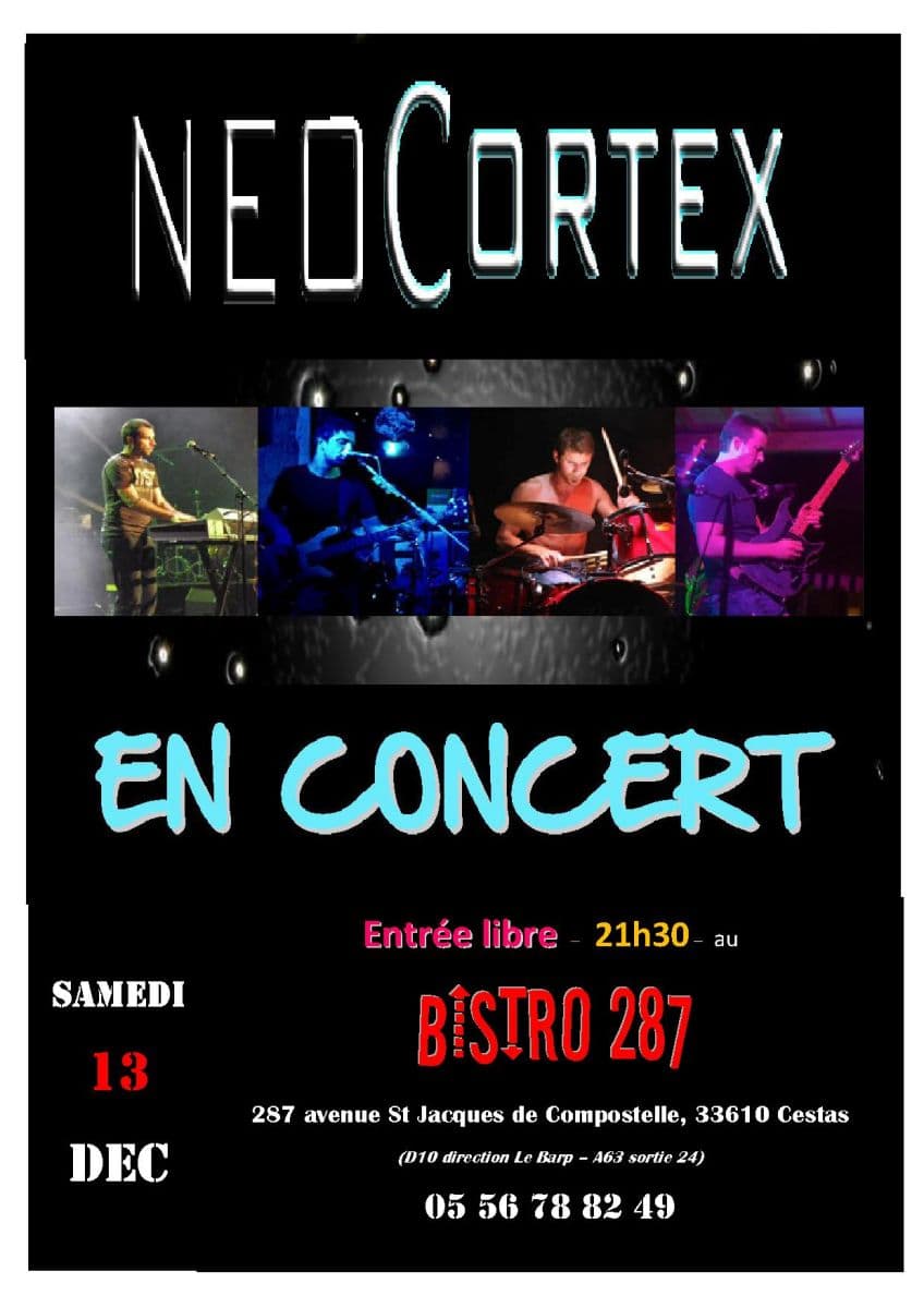Neocortex