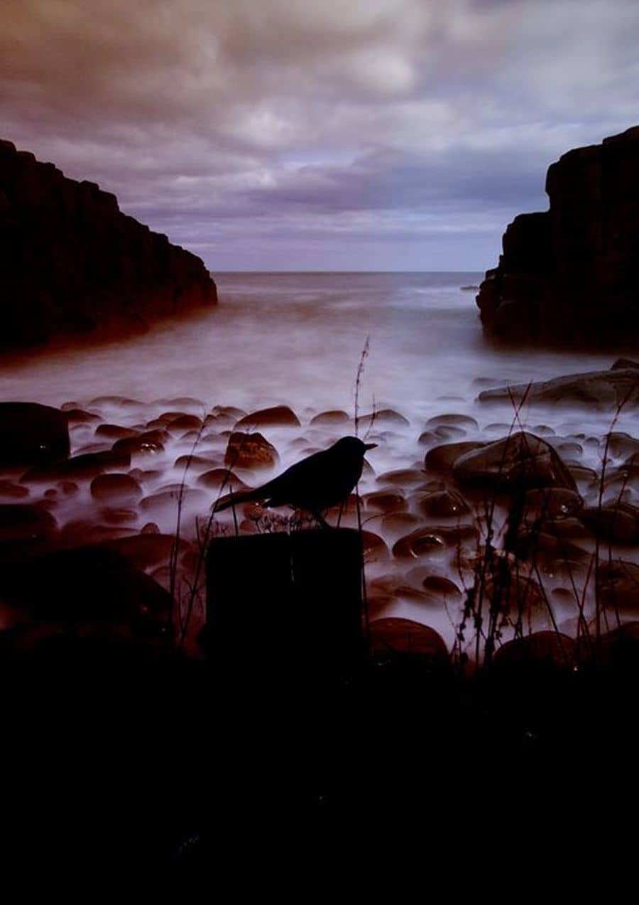 NFN #6 : avec Tomorrow is the morrow + An ocean of void + Sap Temple