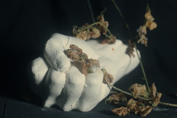 PAIN MAGAZINE - BIRDS IN ROW X LOUISAHHH X MAELSTROM X QUENTIN SAUVÉ