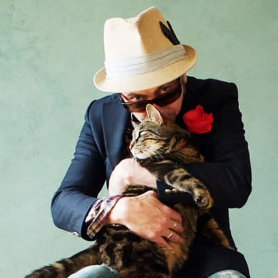 Pascal Parisot « Chat Chat Chat »