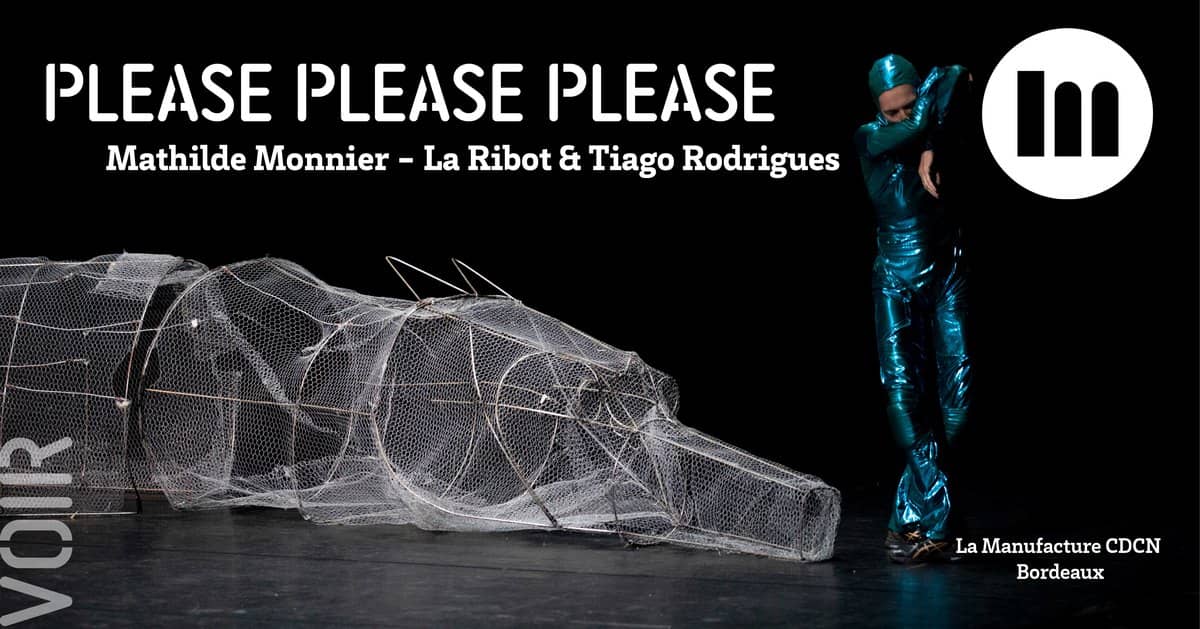 Please please please - Mathilde Monnier, La Ribot, Tiago Rodrigues