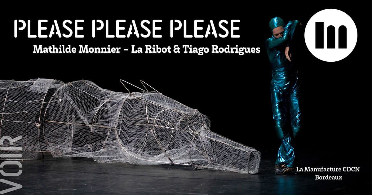 Please please please - Mathilde Monnier, La Ribot, Tiago Rodrigues