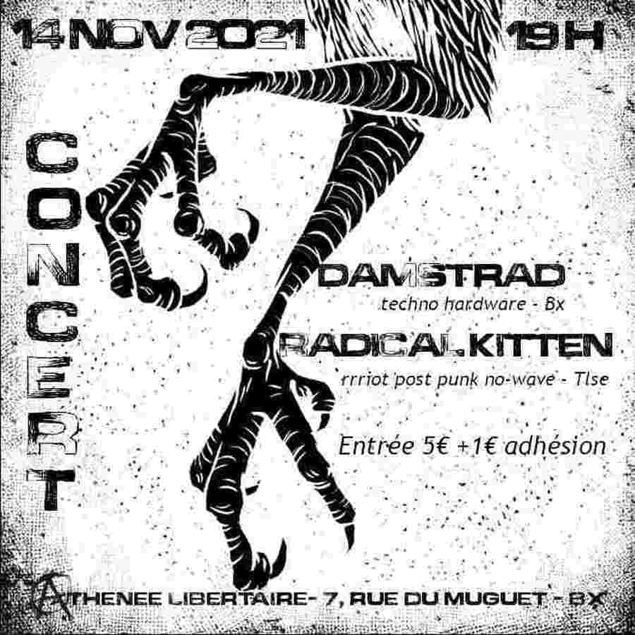 Radical Kitten et Damstrad, post-punk-techno queer et féministe