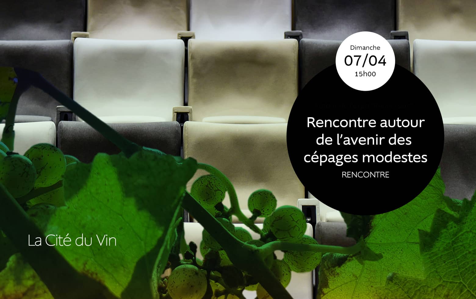 Rencontre autour de l'avenir des cépages modestes