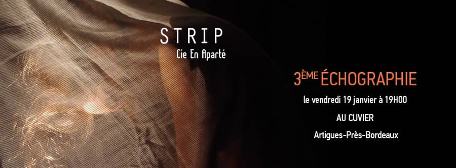 Rencontre publique : 3ème échographie de STRIP