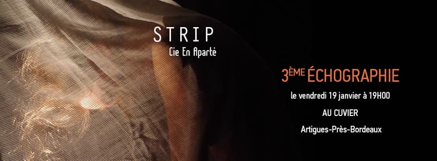 Rencontre publique : 3ème échographie de STRIP