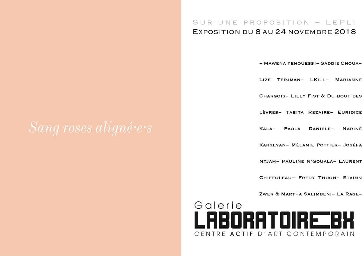 Sang roses aligné·e·s // Le Pli au Laboratoire Bx