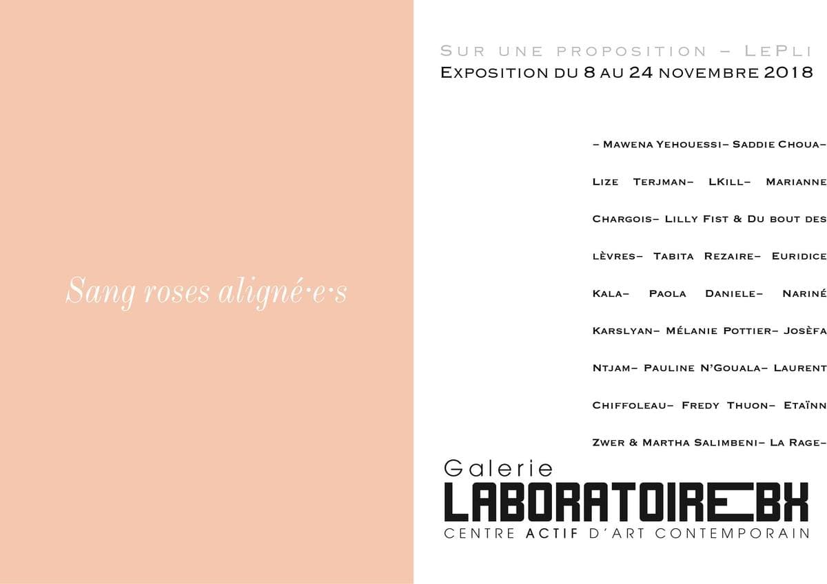 Sang roses aligné·e·s // Le Pli au Laboratoire Bx