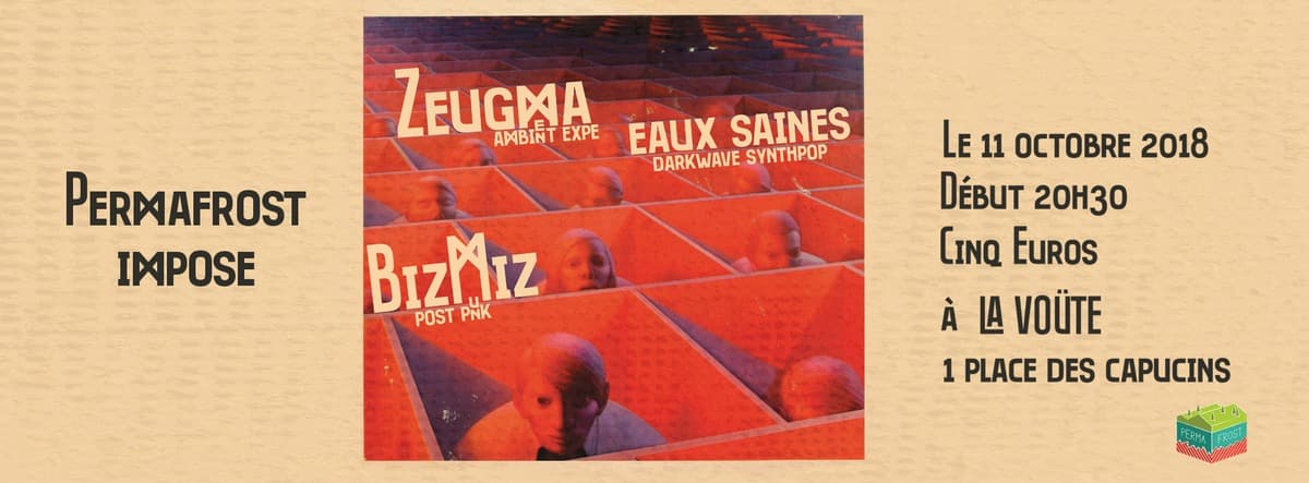 Soirée de soutien au label Permafrost : avec BizMiz + Eaux Saines + Zeugma