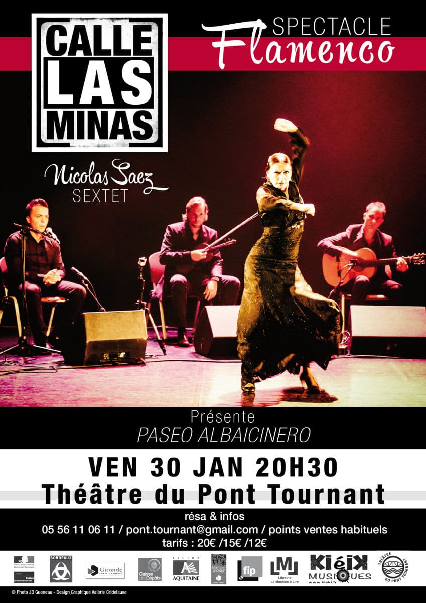 Spectacle flamenco - Calle Las Minas