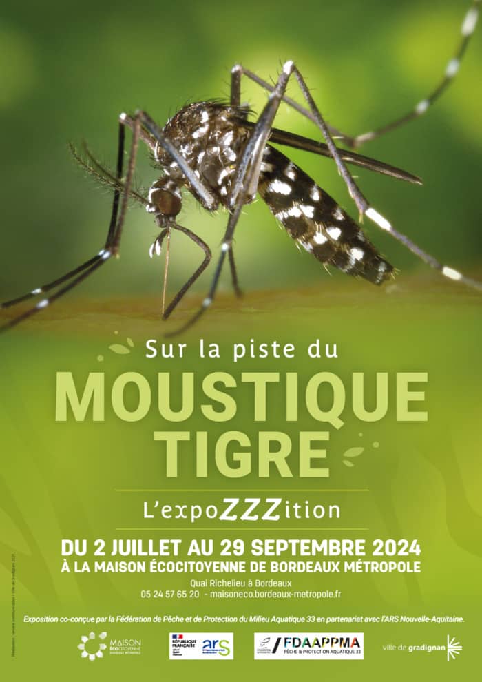SUR LA PISTE DU MOUSTIQUE TIGRE, L'EXPOZZZITION !