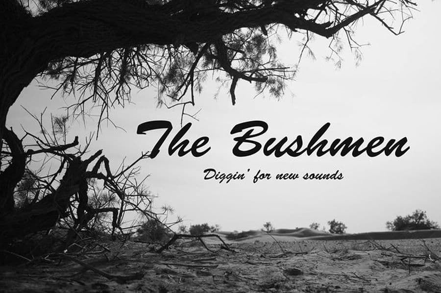 The Bushmen