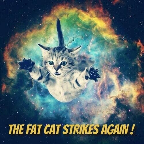 The Fat Cat
