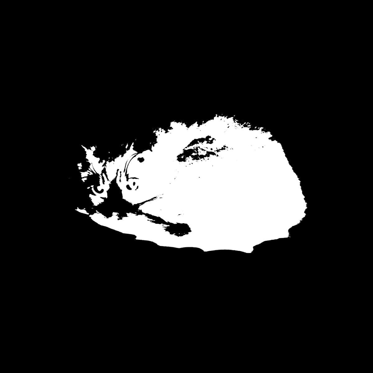 The Fat Cat