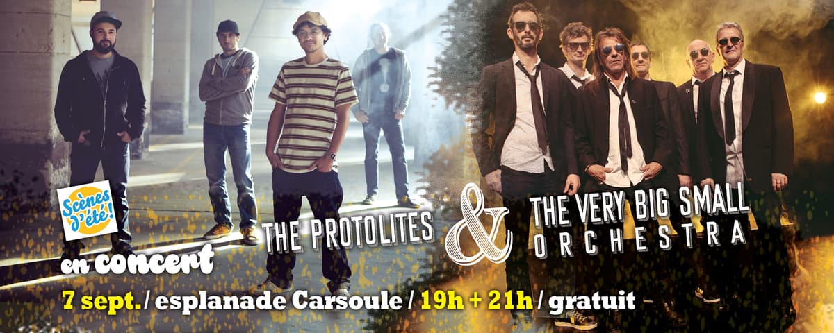 The very big small orchestra + The Protolites
