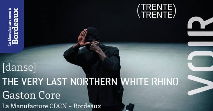 The Very Last Northern White Rhino - Gaston Core