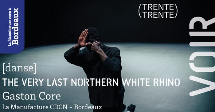 The Very Last Northern White Rhino - Gaston Core