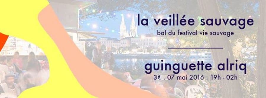 Veillée sauvage : bal du festival vie sauvage