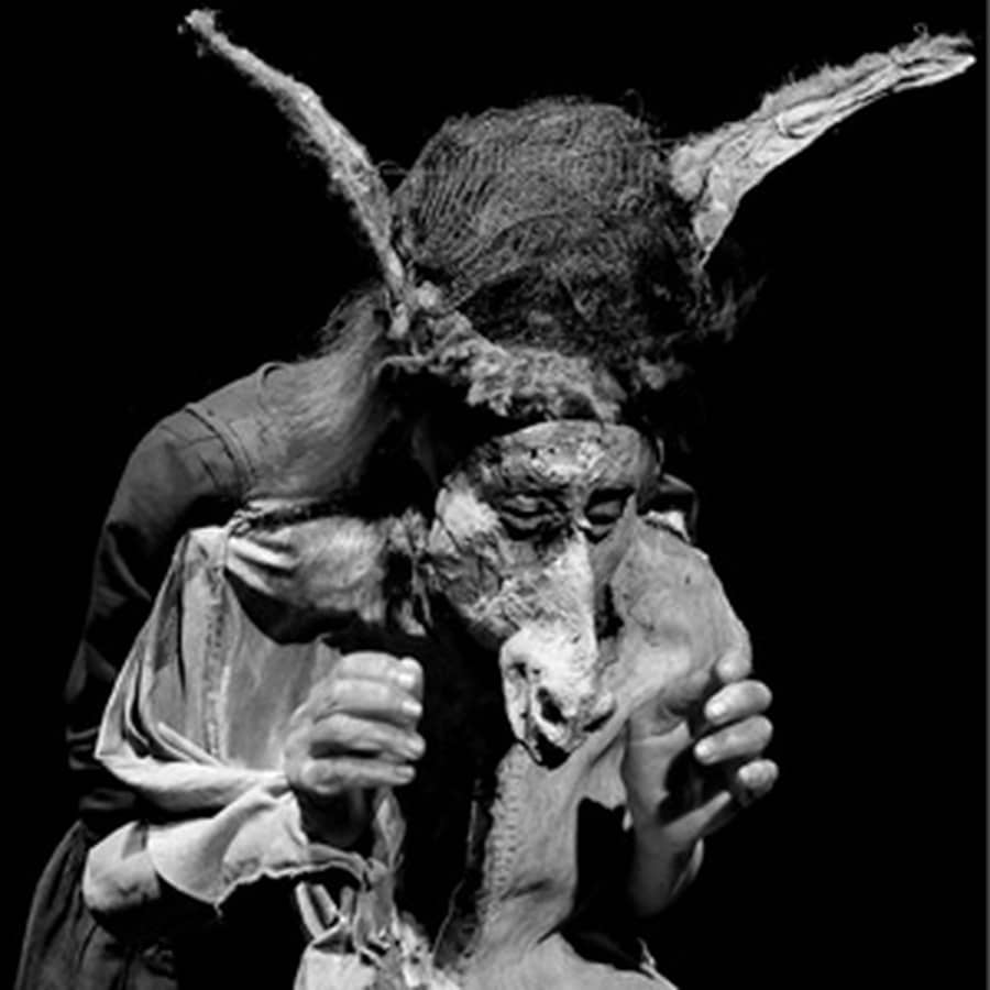 VOYAGE CHIMÈRE / Ilka Schönbein – Theater Meschugge