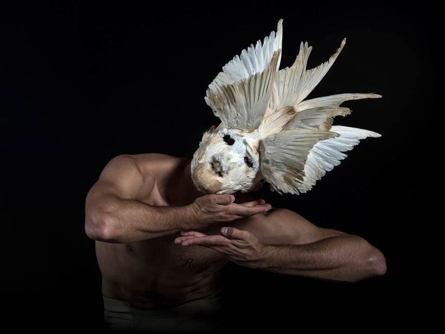 VOYAGES I II III - Compagnie Timeless Ballet