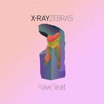 X-Ray Zebra