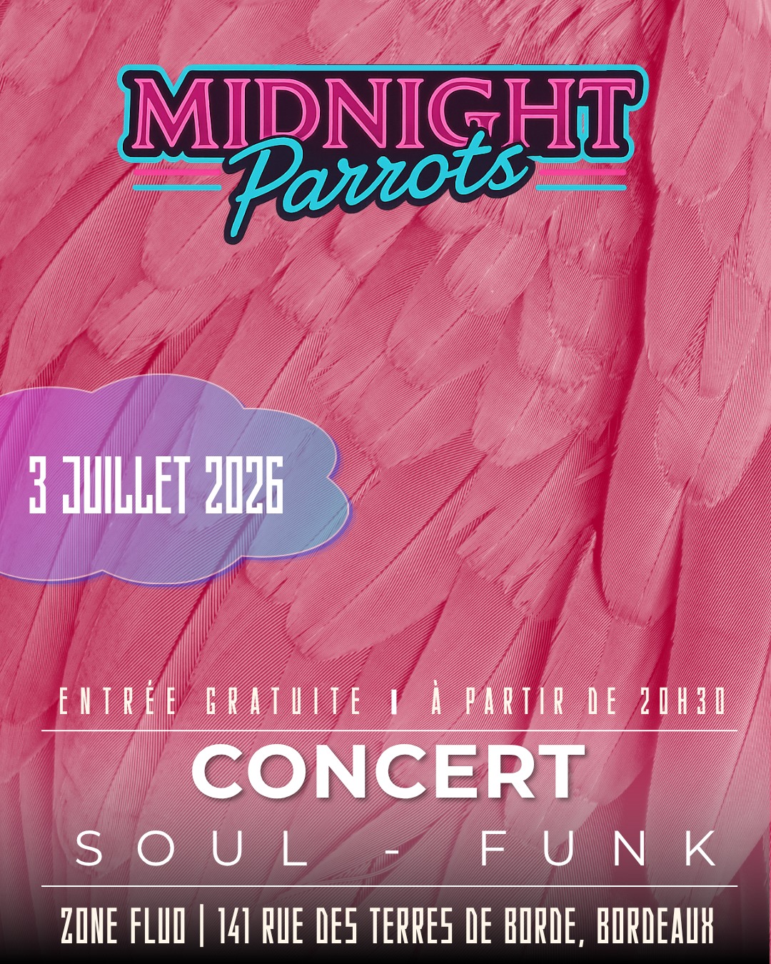 Midnight Parrots